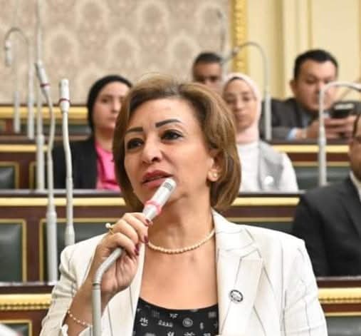 مها عبد الناصر تنقدم بطلب احاطه في ارتفاع أسعار تذاكر مصر للطيران