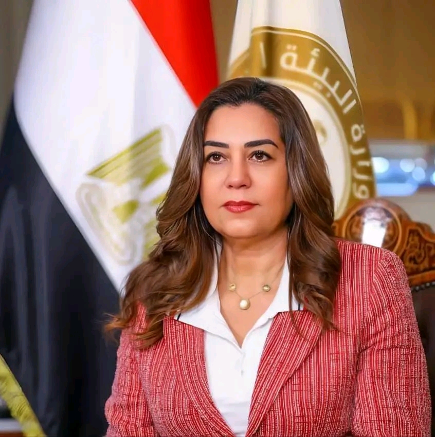 منال عوض تتابع خطط التنمية وسوء الطقس بالوادي الجديد