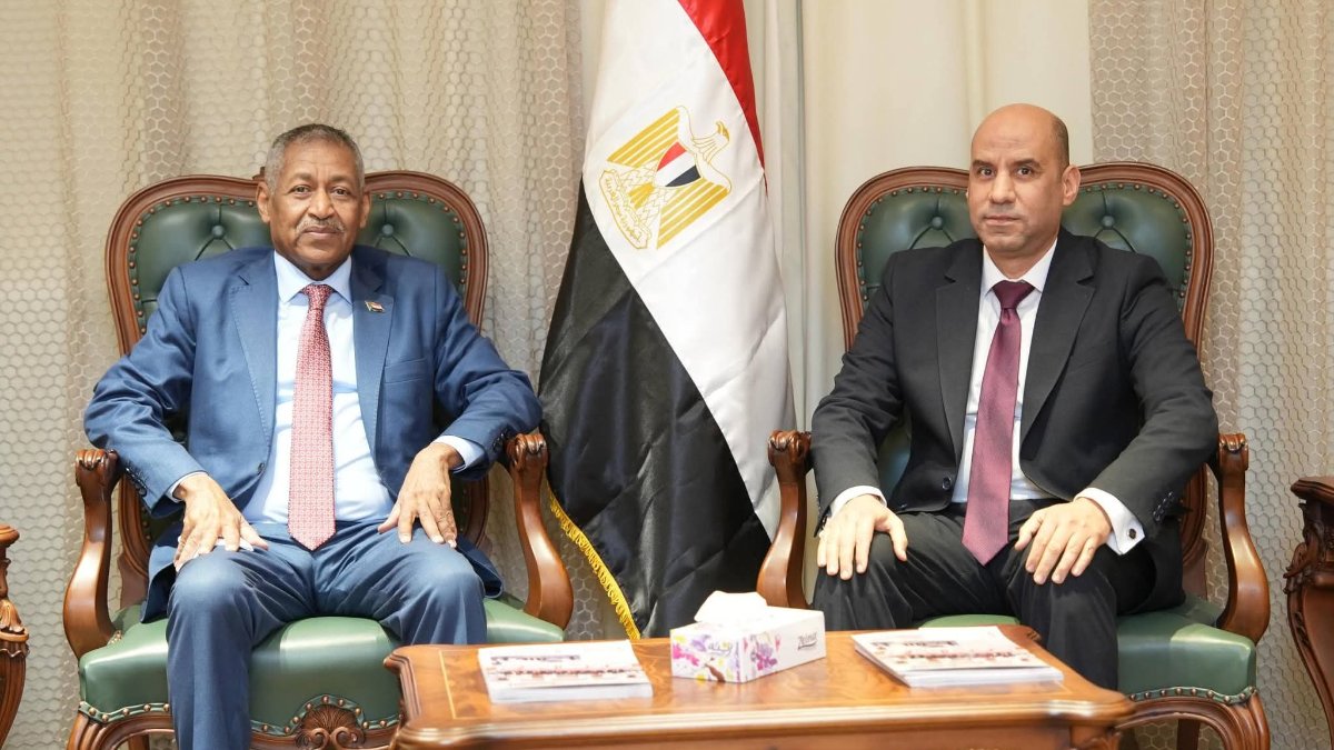 مصر تنقل خبراتها في التدريب لسوق العمل السوداني بتعاون رسمي
