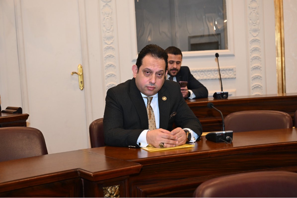 محمد الجندي ضرورة تنويع مصادر الطاقة وجذب الاستثمارات الأجنبية لحماية الاقتصاد