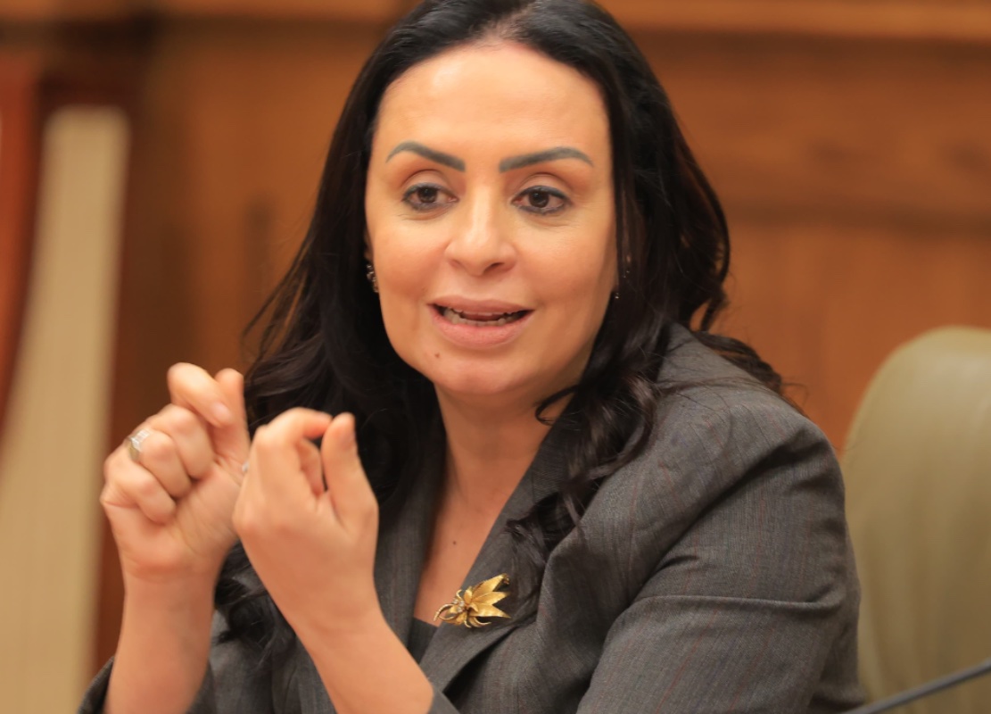 وزيرة التضامن أمام الشيوخ: 900 ألف طن مساعدات لغزة ودعم 4.7 مليون أسرة