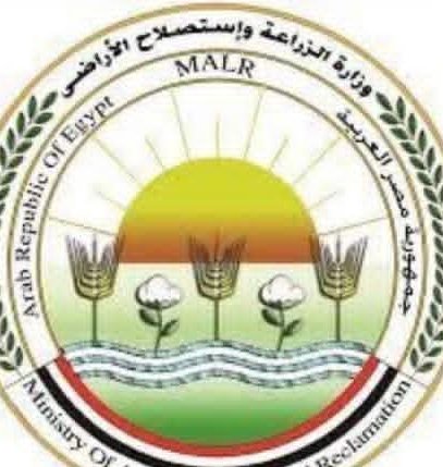 الزراعةتحصين 2.1 مليون رأس ماشية ضمن الحملة القومية ضد الجلد العقدي وجدري الأغنام