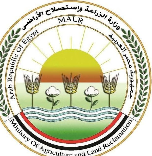 الزراعة ضبط 71 طنًا من الأسماك المملحة والمدخنة غير الصالحة
