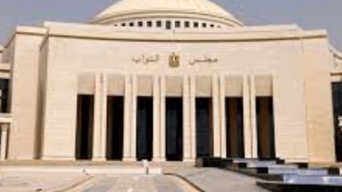 نائبة صحة النواب: «كبسولة العمليات» نقلة  لجودة الخدمات الطبية في مصر