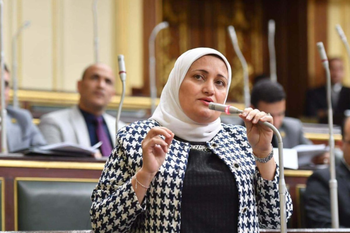 برلمانية لـ وزير الكهرباء: ما السند القانوني لإلغاء نظام شرائح العداد الكودي؟