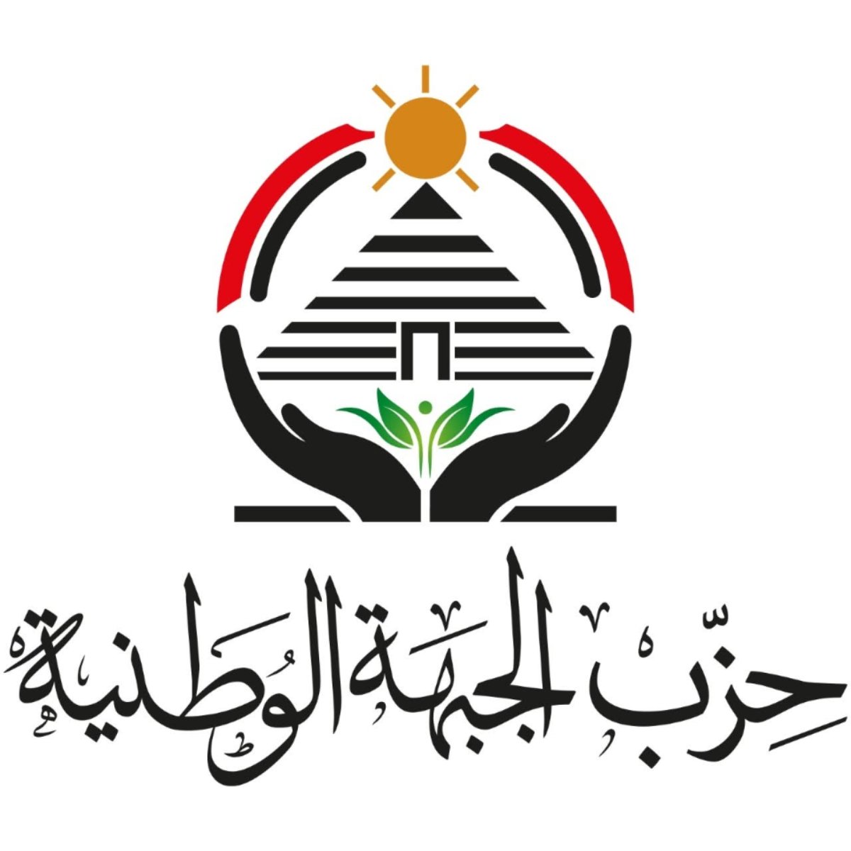 الجبهة الوطنية يطلق حوارا مجتمعيا لحماية الأسرة المصرية