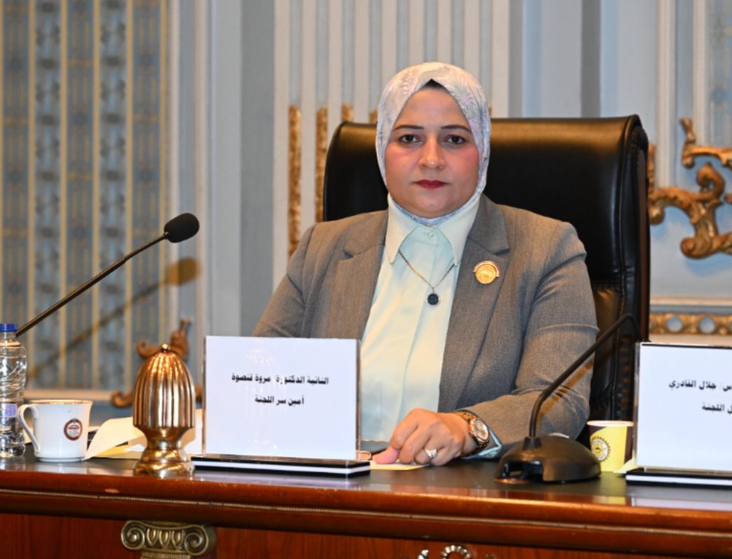 برلمانية تتقدم بمقترح لإنتاج ميجاوات كهربائيه من الطاقة الشمسية