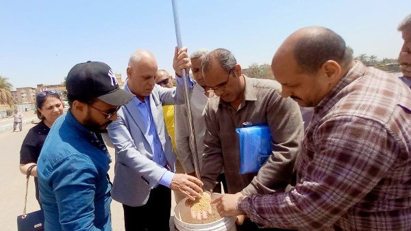 محافظ أسيوط يعلن انطلاق موسم حصاد وتوريد القمح 2026