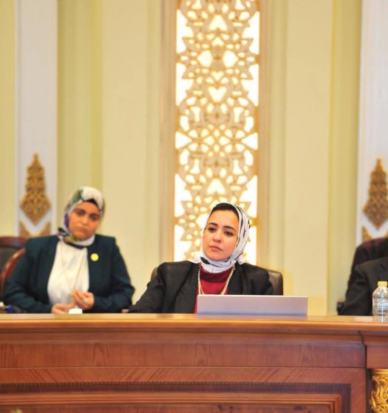 النائبة بثينة مصطفى: قضايا الأسرة يجب تناولها بشكل شامل ومتكامل