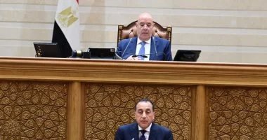رئيس الوزراء: توجيهات رئاسية مستمرة بالمصارحة والشفافية