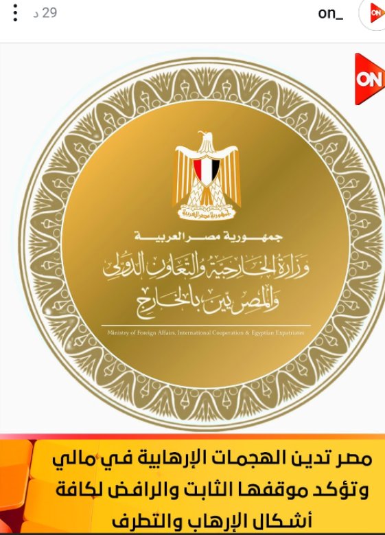 الخارجية المصرية: مصر تدين الهجوم الإرهابي في مالي وتدعو لتضافر الجهود الإقليمية والدولية لمواجهة الإرهاب