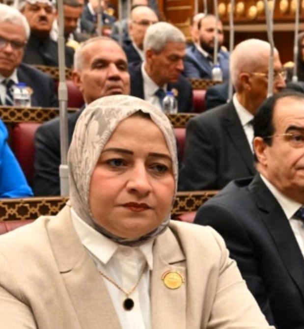 النائبة مروة قنصوة: إلغاء سقف التضخم انتصار لأصحاب المعاشات وضمان لاستدامة الموارد النقديه للصندوق