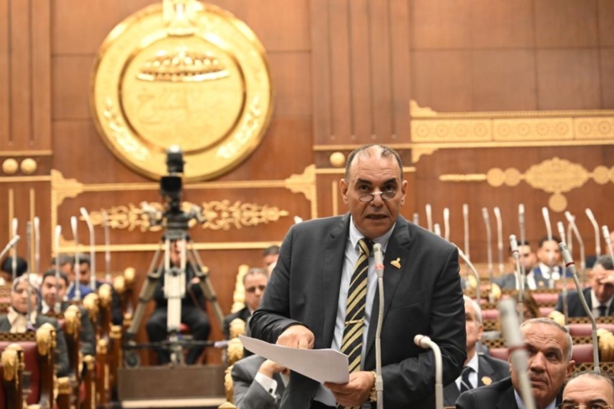 النائب رجائي عزت يطالب برفع مخصصات الصحة في الموازنة الجديدة