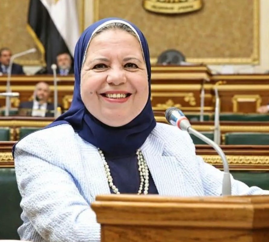 طلب إحاطة من النائبة أمل عصفور يكشف أزمة حافز التميز العلمى ببورسعيد