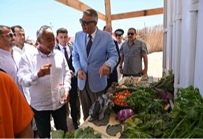 الأول من نوعه في أفريقيا.. مشروع دمج الزراعة بالطاقة الشمسية
