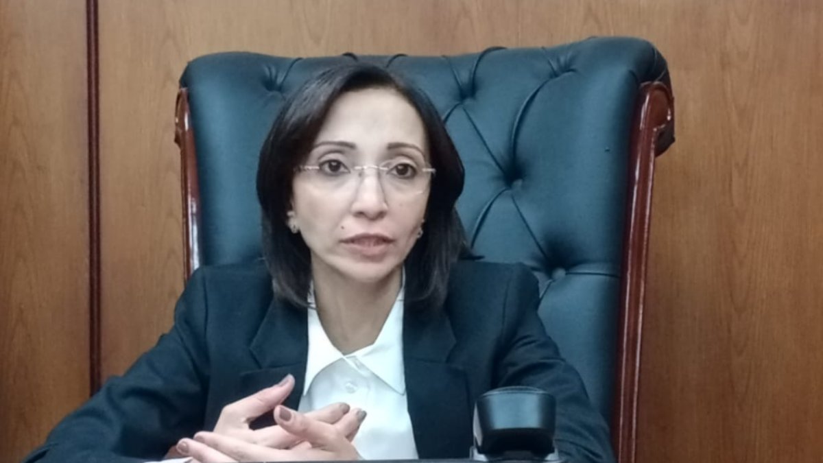البحيرة تواصل استقبال القمح المحلي وتحقق 351 ألف طن توريد