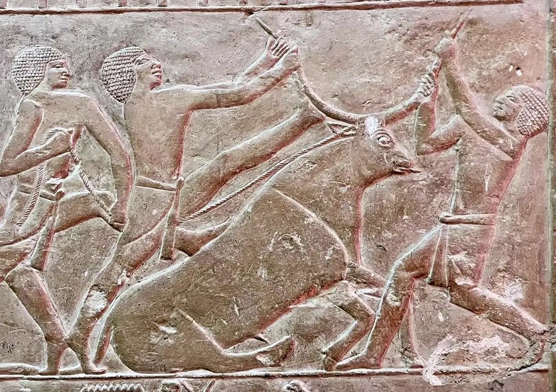 الأضحية في مصر القديمة.. طقس مقدس جمع بين العقيدة والتكافل الاجتماعي
