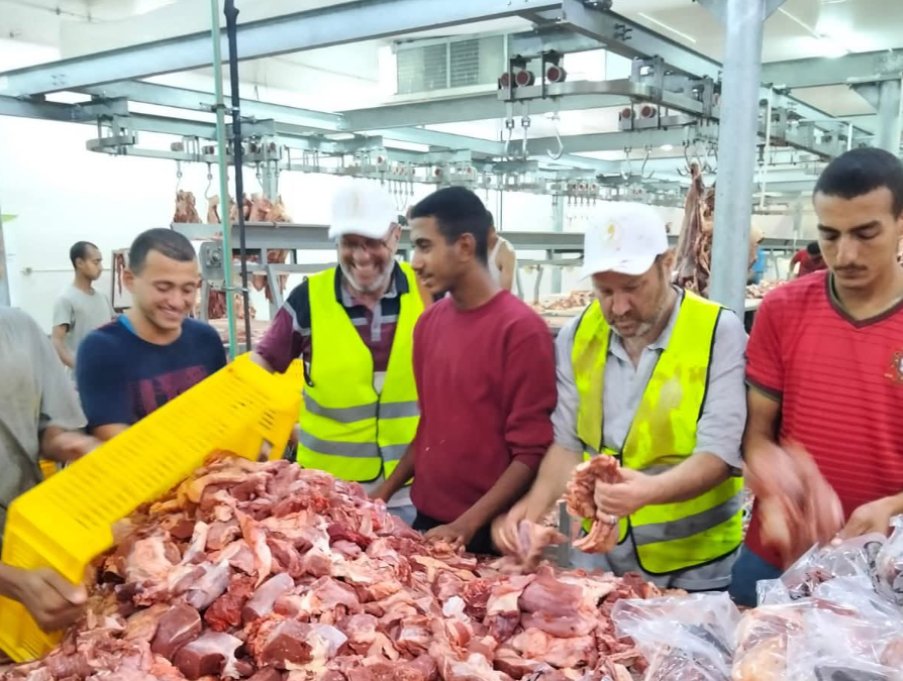 الأوقاف تبدأ أعمال التعبئة والتجميد ضمن مشروع صكوك الأضاحي تمهيدًا للتوزيع على الأسر الأولى بالرعاية