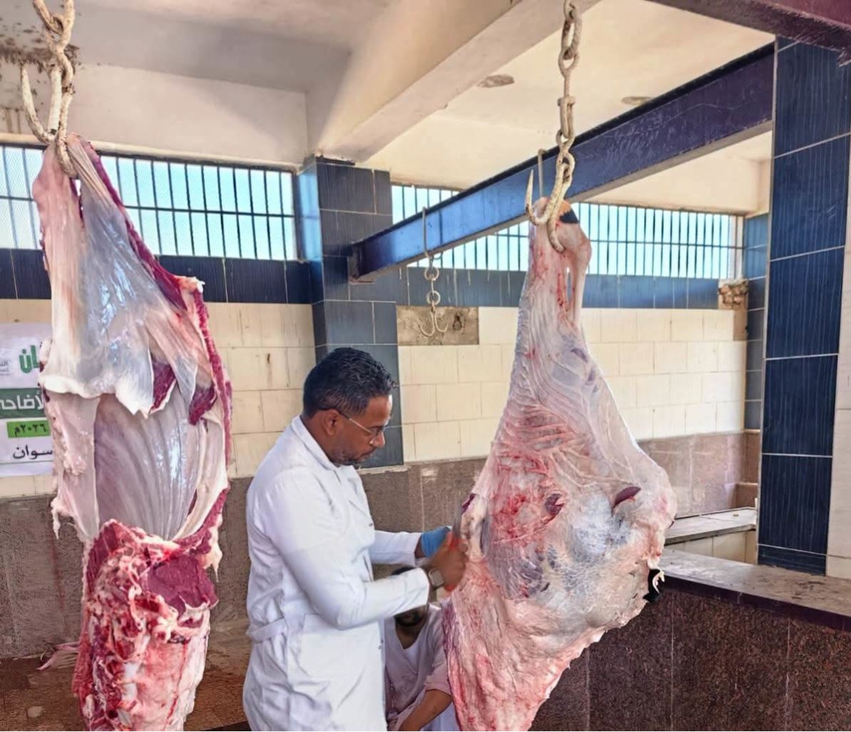أسوان: تحصين 60 ألف رأس ماشية و23 قافلة بيطرية لتعزيز الثروة الحيوانية خلال مايو