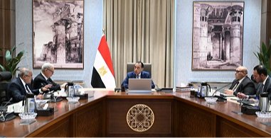 خطة حكومية لتعزيز كفاءة الشركات المملوكة للدولة وجذب الاستثمار