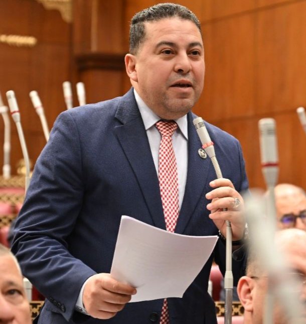 برلماني: خطة التنمية الاقتصادية والاجتماعية تعكس إدراكًا واضحًا لحجم المخاطر والمتغيرات المؤثرة