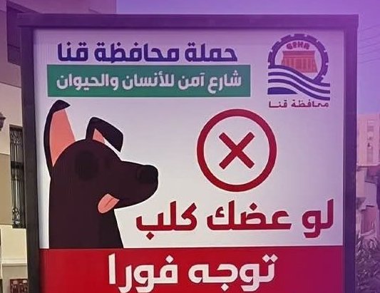 بتوجيهات المحافظ.. قنا تواجه الكلاب الضالة بحملة توعية