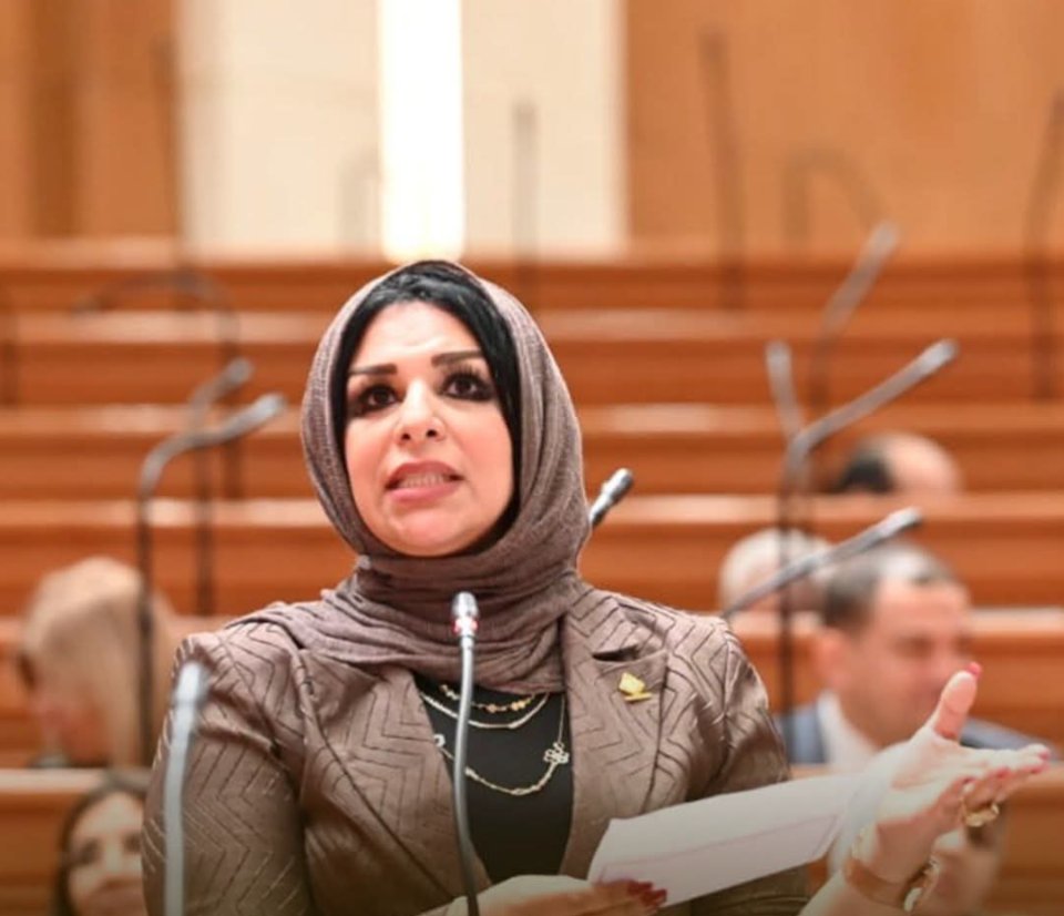 النائبة مروة حلاوة: مراعاة اتفاقيات تجنب الازدواج الضريبي بقانون الضريبة على الدخل يعزز ثقة المستثمرين في السوق المصرية