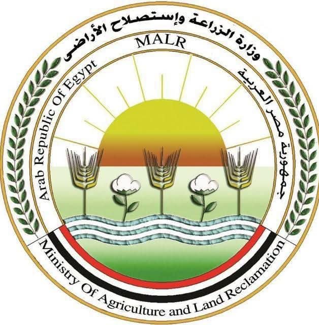 الزراعة تسجل 5 أصناف مصرية جديدة من الحبوب والخضر لدعم الأمن الغذائي وتقليل الاستيراد