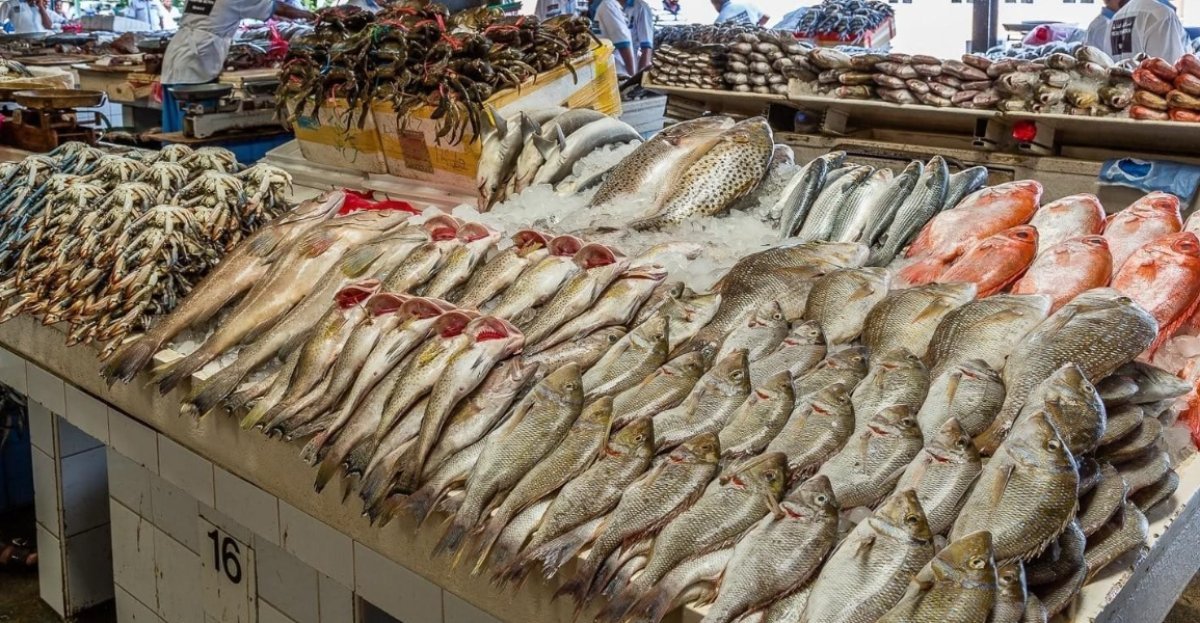 أعرف أسعار الأسماك والمأكولات البحرية في سوق العبور اليوم