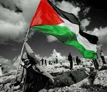 الاستيطان يتسارع في الضفة الغربية.. إسرائيل تدفع بمخططات جديدة تضم أكثر من ألف وحدة سكنية