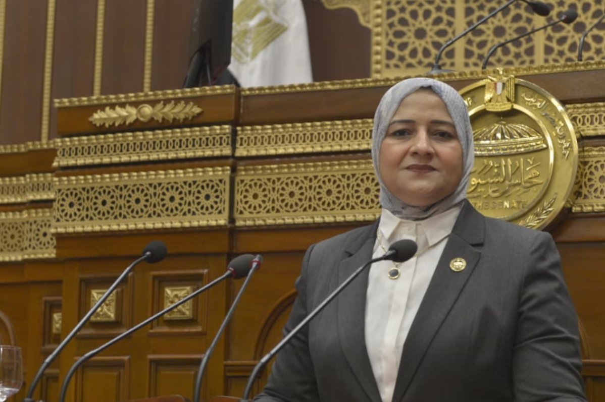 مروة قنصوه: اتفاق تنفيذ المرحلة الثانية لوقف إطلاق النار في غزة يؤكد نجاح الدبلوماسية المصرية في ترسيخ السلام