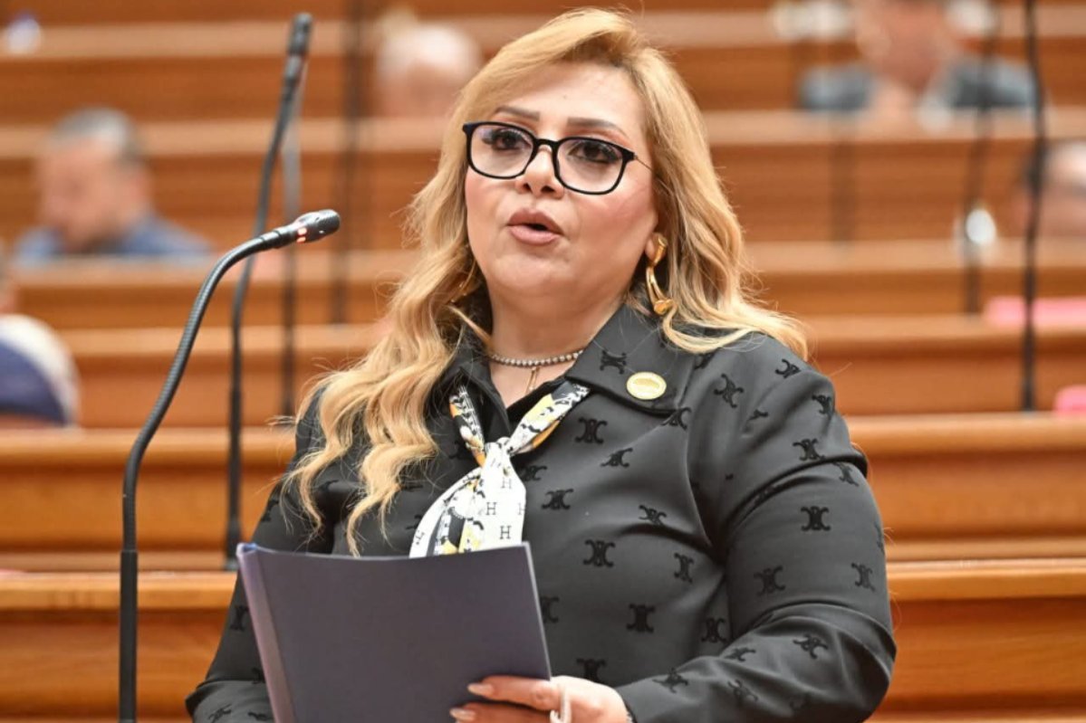 النائبة هبه غالي تتقدم بسؤال برلماني للحكومة عن شرائح المحمول المجهولة وتؤكد : من يحمي بيانات المصريين من الاحتيال وانتحال الهوية؟