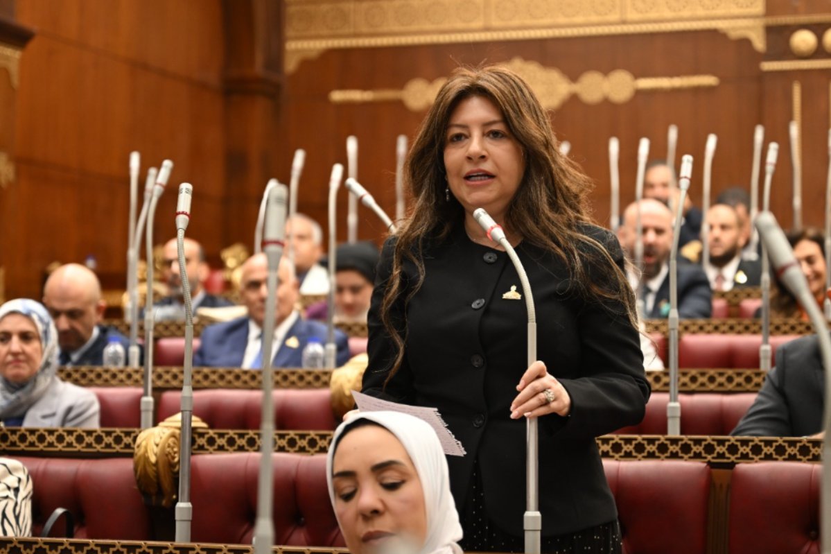 النائبة سوزي سمير: توجيه الرئيس بإطلاق منصة للشباب خطوة جديدة نحو التمكين والمشاركة