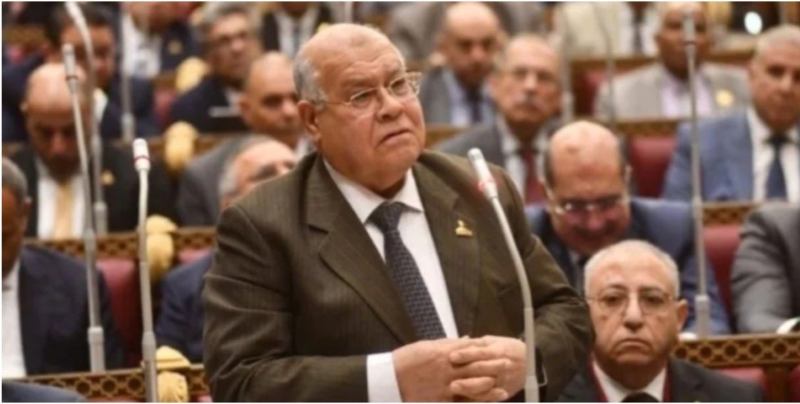 ناجي الشهابي: خيوط صندوق النقد حريرية لكنها قاتلة.. والاعتماد على الذات طريق مصر للاستقلال الاقتصادي