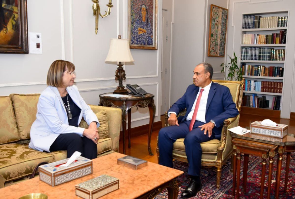 وزير الخارجية.. يستقبل المنسق المقيم للأمم المتحدة في مصر