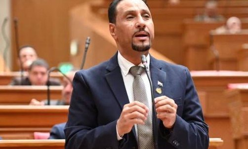 نائب: سد «جوليوس نيريري» يجسد قوة مصر في إفريقيا.. من التفاهم السياسي إلى شراكات التنمية