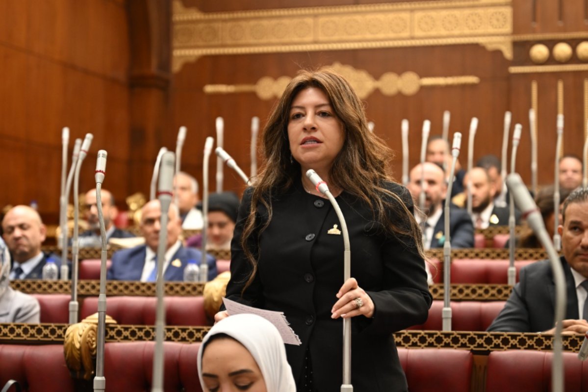 النائبة سوزي سمير: رؤية الرئيس السيسي في بريكس تعزز فرص الشراكة بين أفريقيا وآسيا وأوروبا