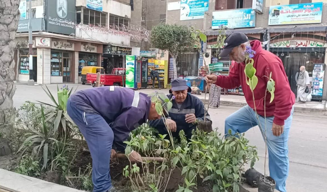 محافظ كفرالشيخ يؤكد استمرار التوسع في أعمال التشجير واستغلال المساحات المتاحة لزيادة الرقعة الخضراء