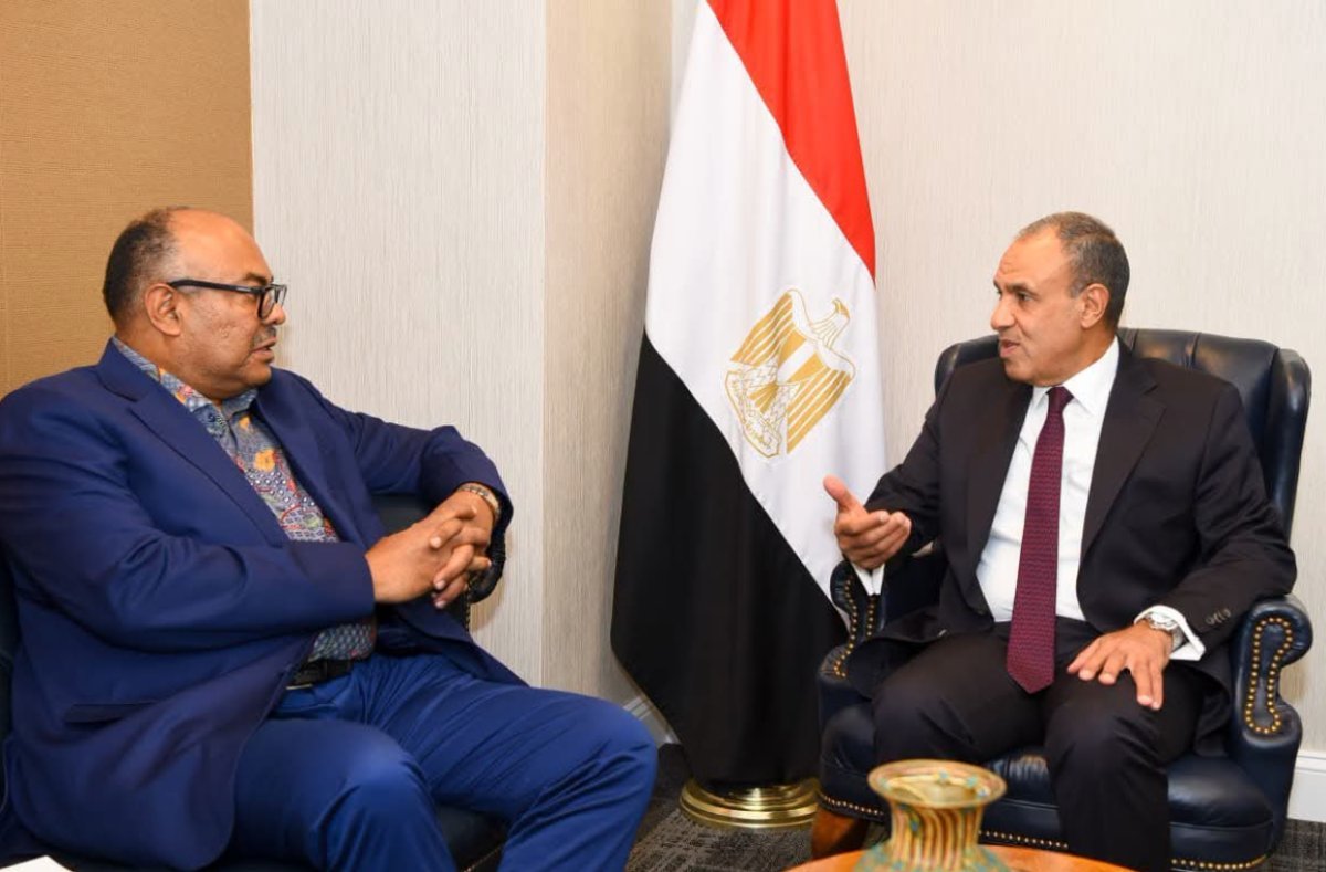 وزير الخارجية ونظيره التنزاني يبحثان سبل تعزيز العلاقات الثنائية وتنسيق المواقف إزاء القضايا الإقليمية