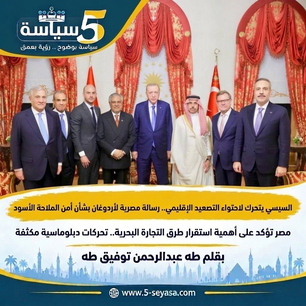 عبد العاطي يبحث مع أردوغان خفض التصعيد الإقليمي وتأمين الملاحة في البحر الأسود