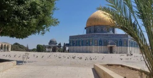 بحماية الاحتلال.. مستوطنون يقتحمون الأقصى ويؤدون طقوسًا تلمودية