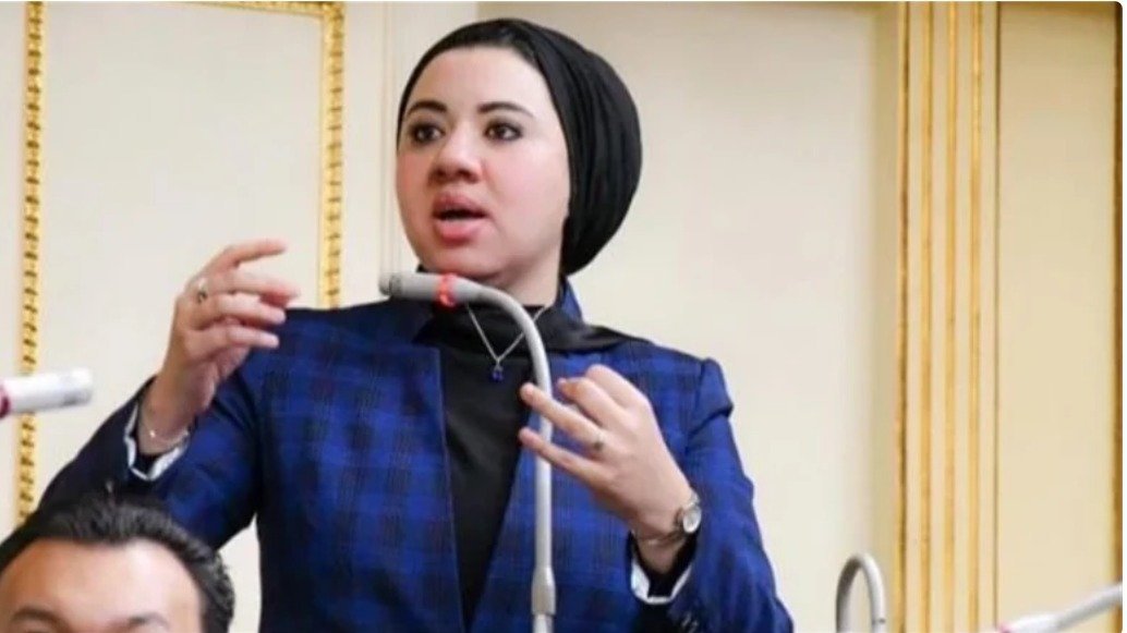 أميرة صابر تحت قبة الشيوخ: حماية المواطن من غلاء الأسعار تبدأ قبل وصول الأزمة إلى الأسواق