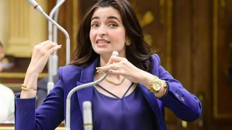 النائبة إيرين سعيد تطالب بسرعة مناقشة أزمة التكليف في مجلس النواب