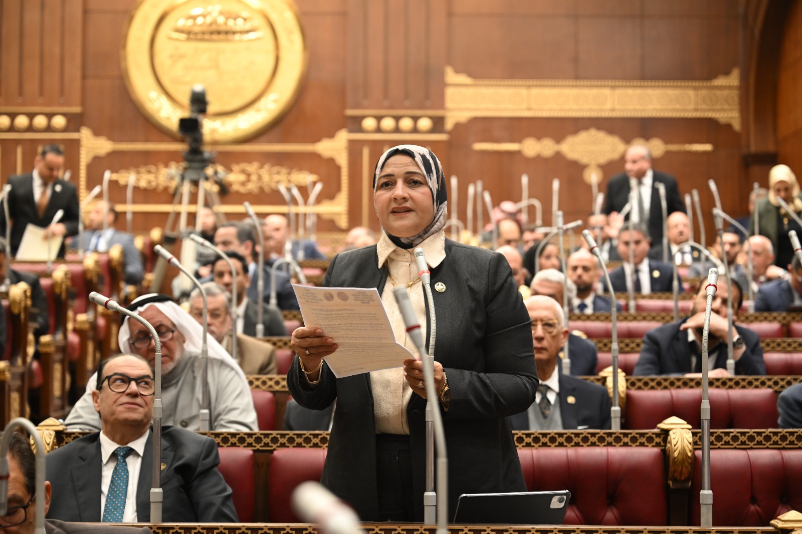 النائبة مروة قنصوه: زيارة أردوغان لمصر محطة مفصلية تؤسس لشراكة استراتيجية متوازنة