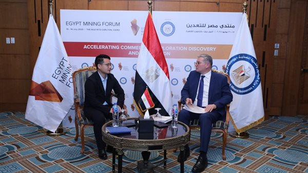 وزير البترول يبحث مع شركة صينية إنشاء مصنع للألواح الشمسية في مصر