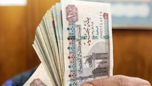 العلاوات الخمس.. حكم مرتقب من الإدارية العليا لصالح أصحاب المعاشات