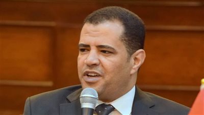 عضو بالشيوخ: غزة ترد بالعرفان.. أعلام مصر والمساعدات رسالة وفاء للدور التاريخي للقاهرة