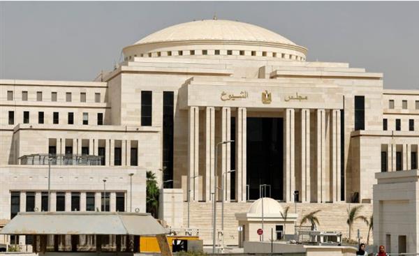 اليوم.. إعلان نتيجة انتخابات مجلس الشيوخ 2025