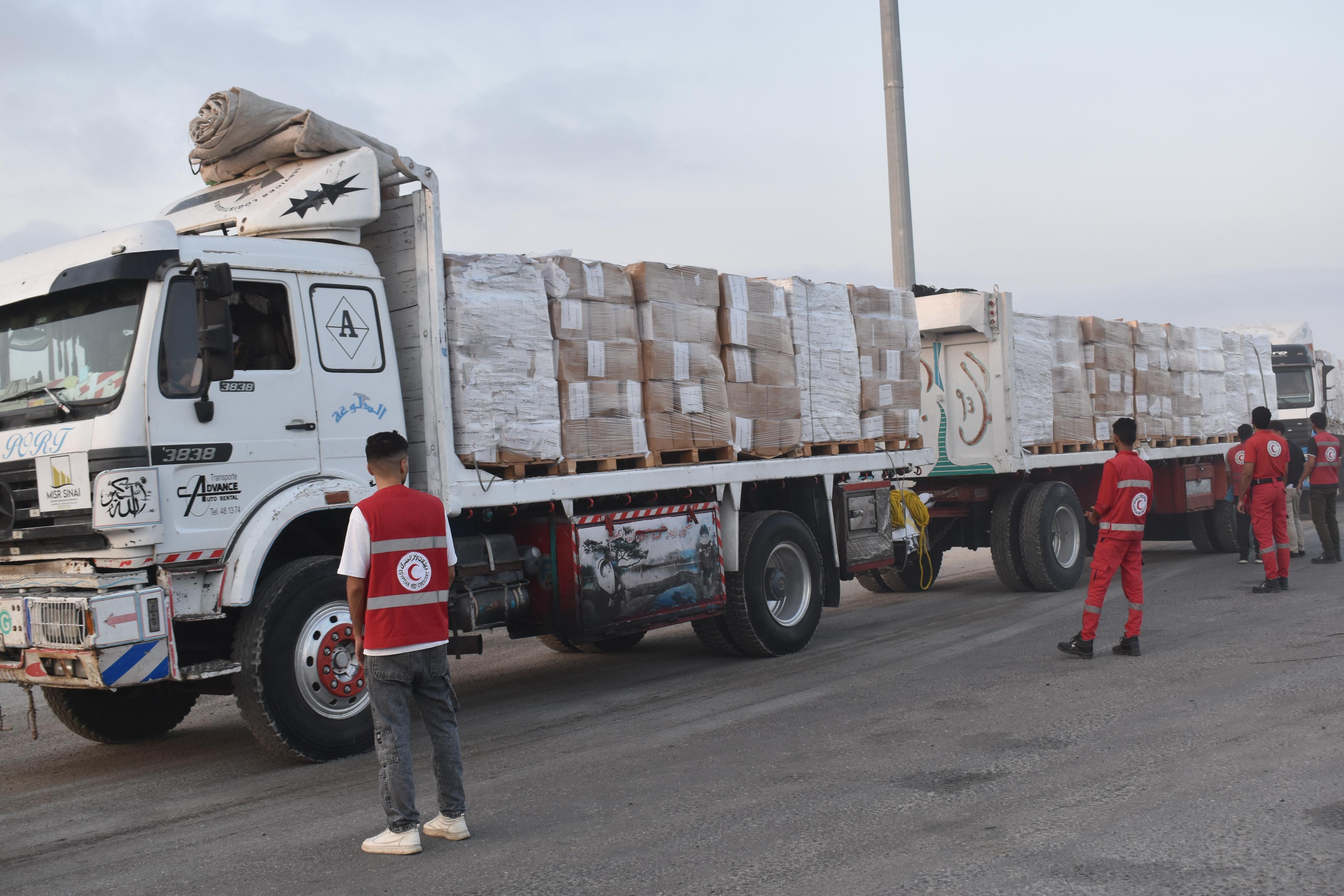 الهلال الأحمر المصري يدفع نحو 220 شاحنة في قافلة «زاد العزة»  الى غزة