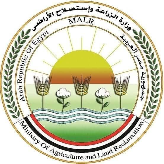 الزراعة: تحصين كلاب الشوارع 12,665 وتعقيم 1,593 ضد السعار